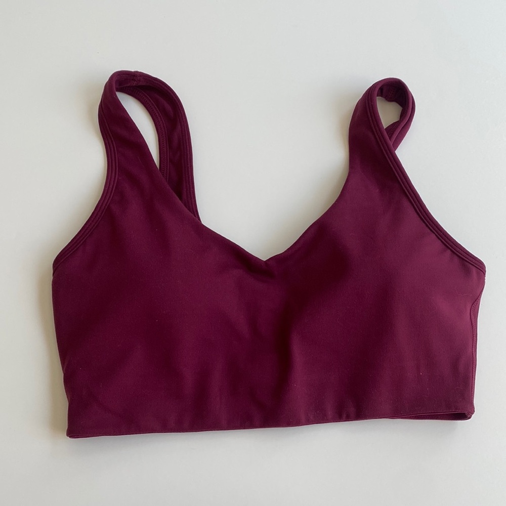 Paragon sports bra